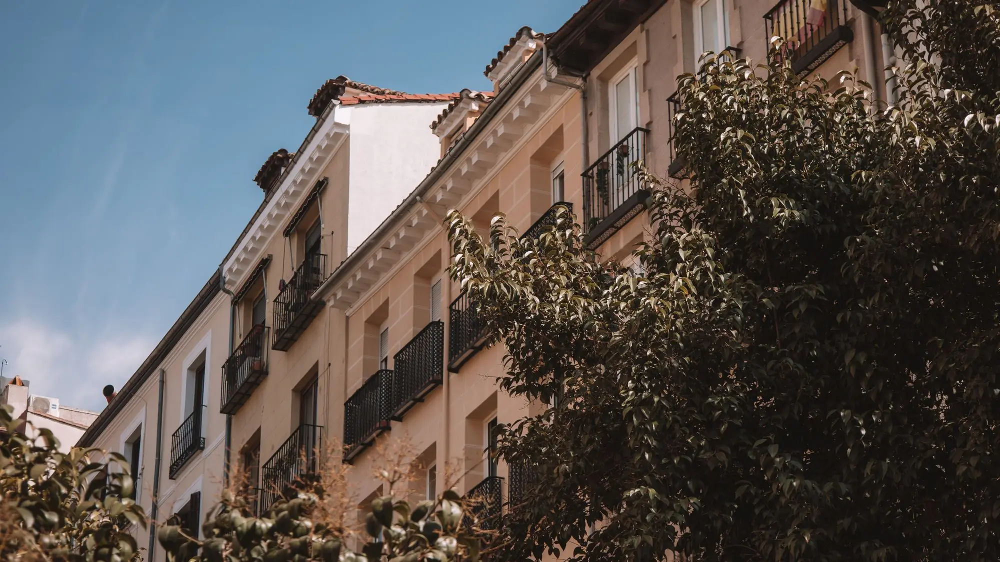 Edificio de viviendas de Madrid con balcones de forja y arbolado en primer término